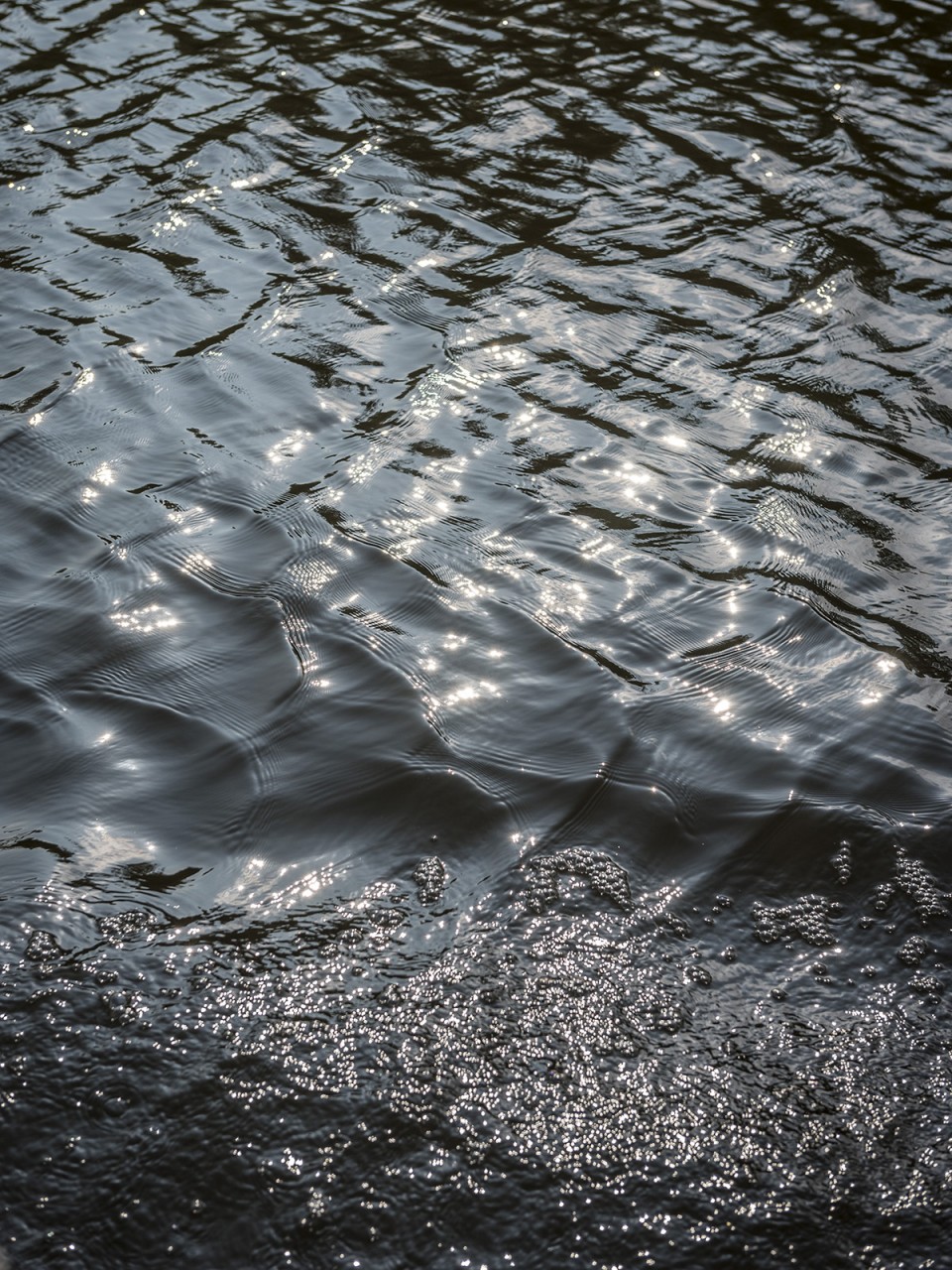 Havel