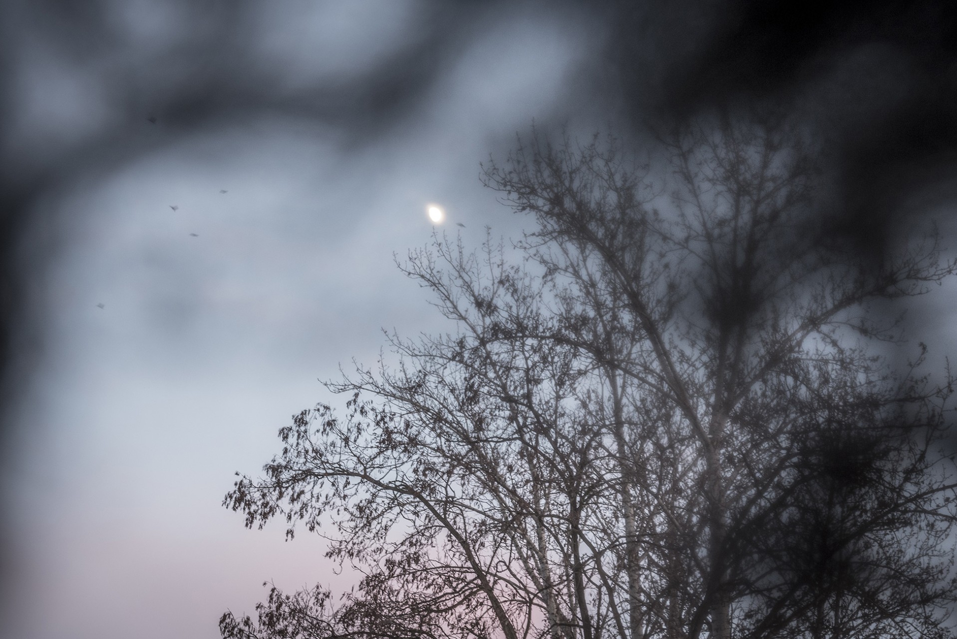 20_Daemon_7689