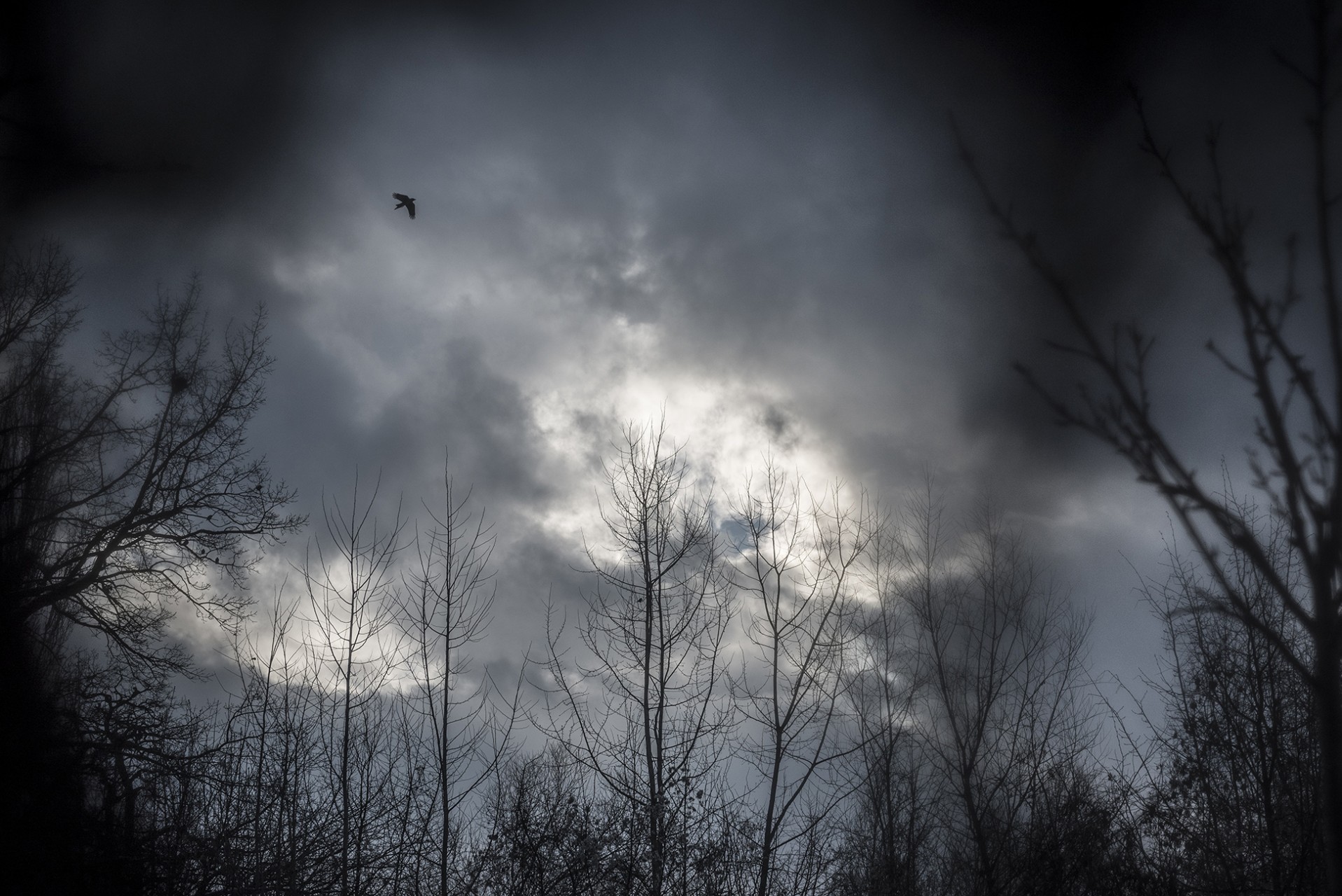 27_Daemon_7764