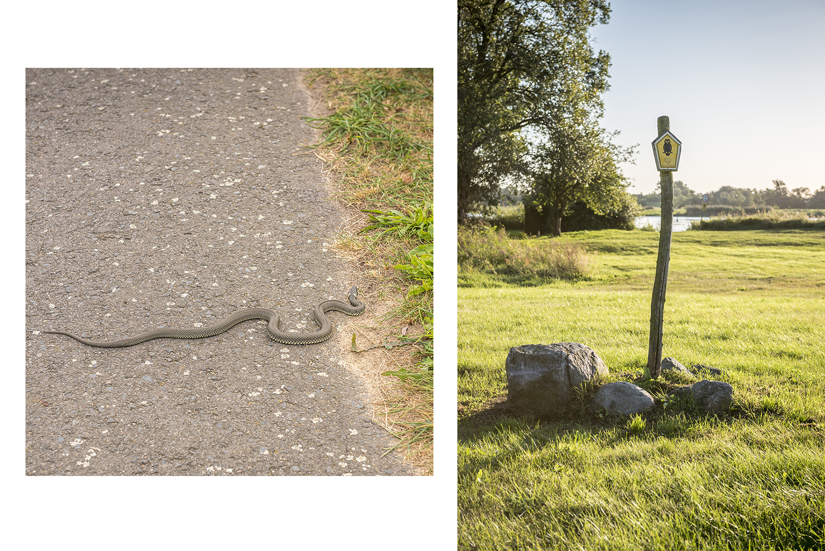 Oder-Neiße-Radtour