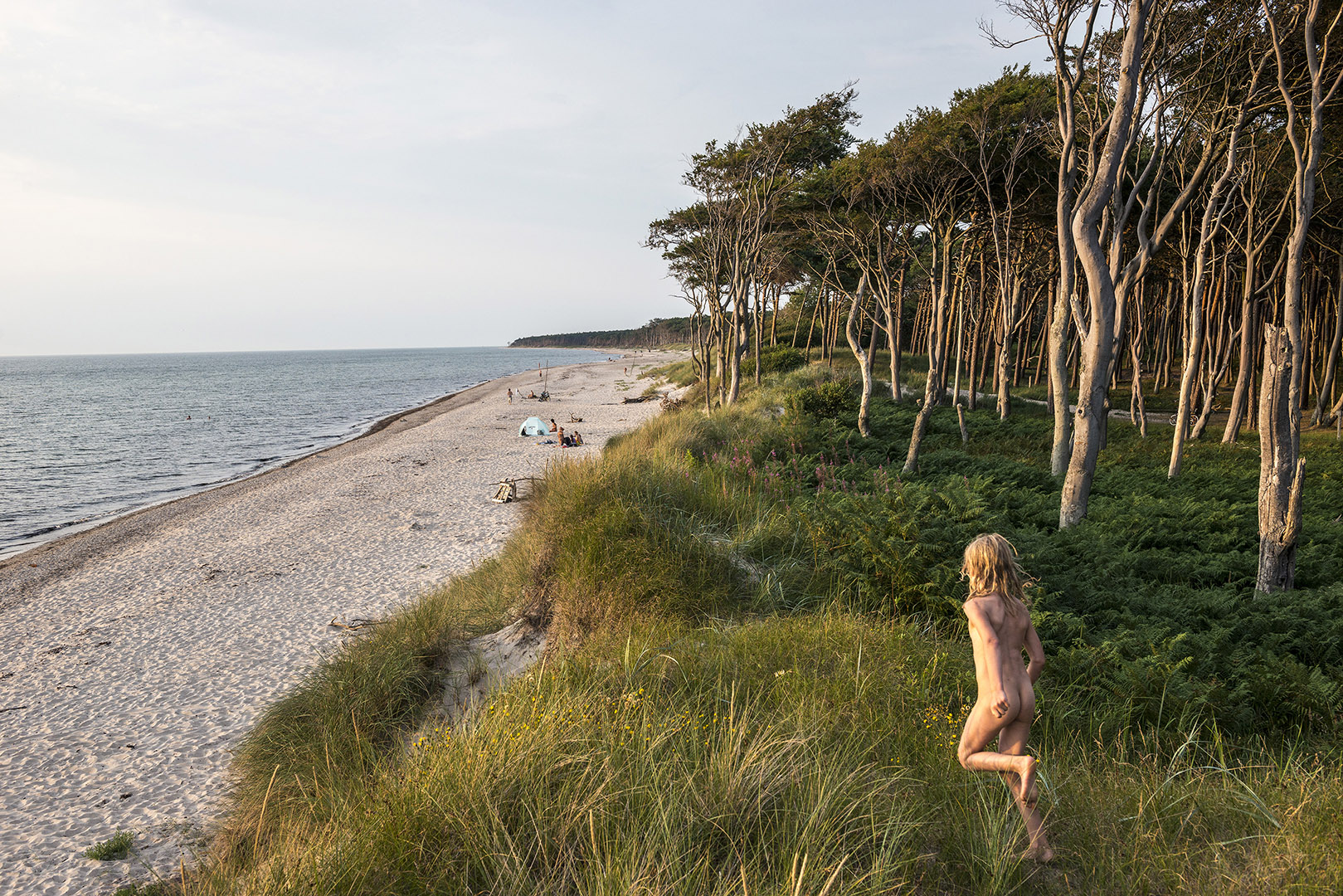 Mecklenburg-Vorpommern